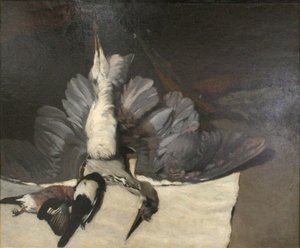 Le héron aux ailes déployées